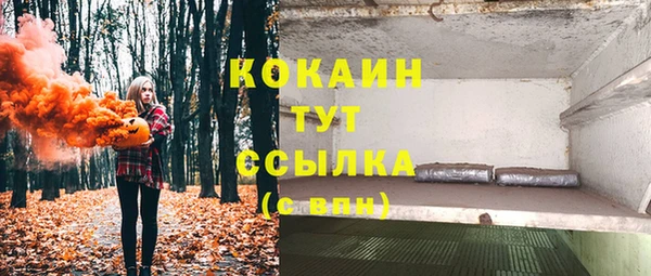 шишки Алексин