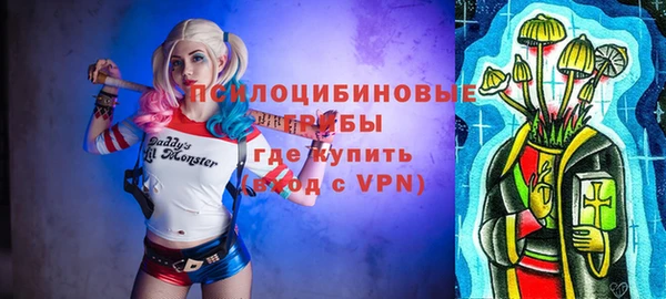 шишки Алексин