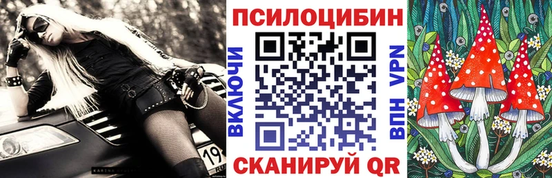 Псилоцибиновые грибы мицелий  гидра как войти  Истра 