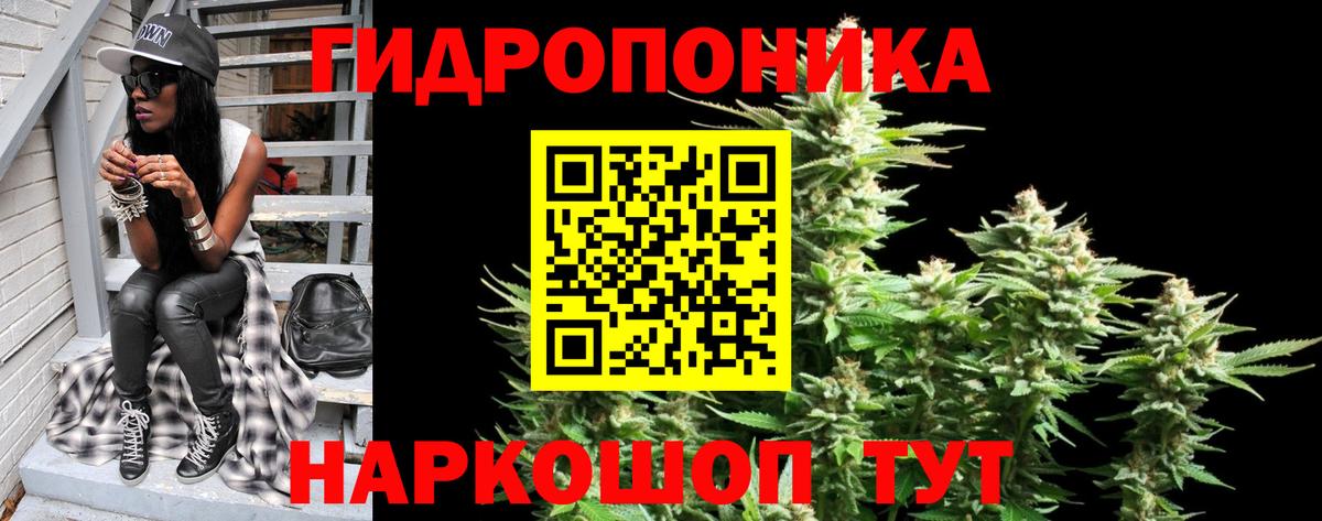 Каннабис гибрид Истра